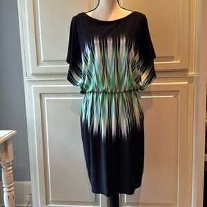 Maggy London Size 10 dress